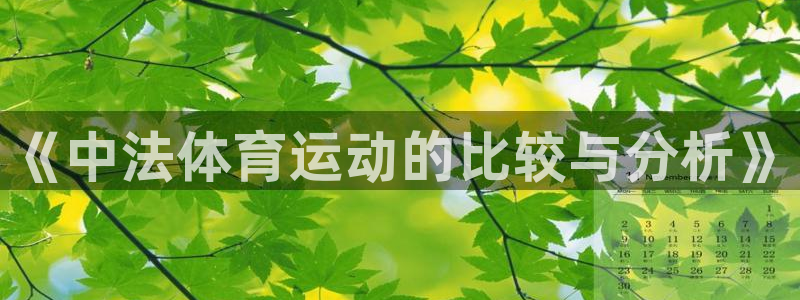《中法体育运动的比较与分析》