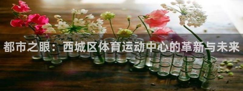 都市之眼：西城区体育运动中心的革新与未来