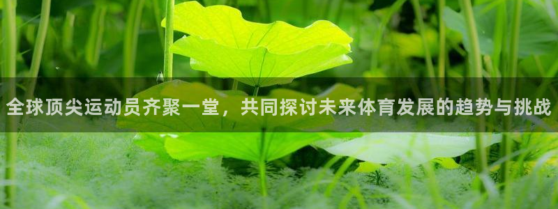 全球顶尖运动员齐聚一堂，共同探讨未来体育发展的趋势与挑战