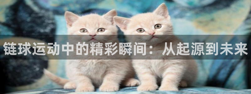 链球运动中的精彩瞬间：从起源到未来