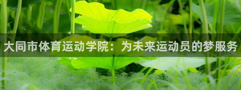 大同市体育运动学院：为未来运动员的梦服务