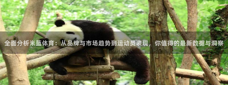 全面分析米蓝体育：从品牌与市场趋势到运动员表现，你值得的最新数据与洞察