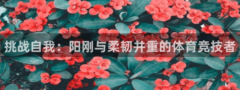 挑战自我：阳刚与柔韧并重的体育竞技者
