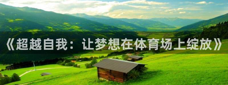《超越自我：让梦想在体育场上绽放》