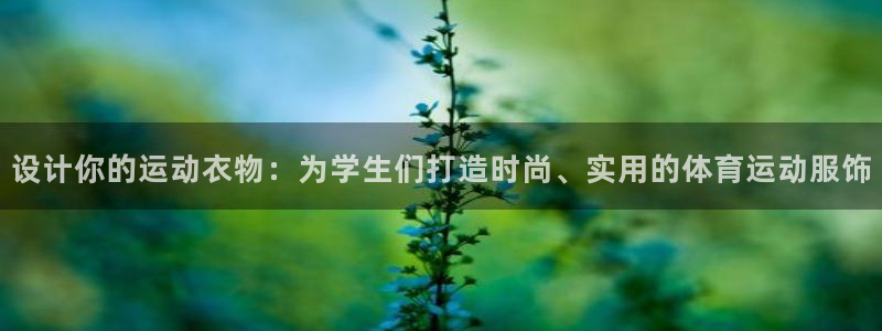 设计你的运动衣物：为学生们打造时尚、实用的体育运动服饰