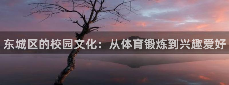 东城区的校园文化：从体育锻炼到兴趣爱好