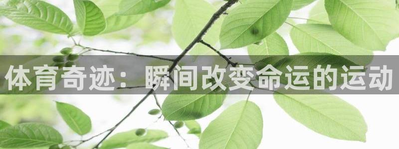 体育奇迹：瞬间改变命运的运动
