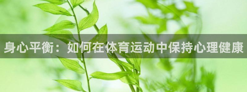 身心平衡：如何在体育运动中保持心理健康