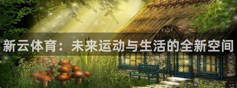 新云体育：未来运动与生活的全新空间